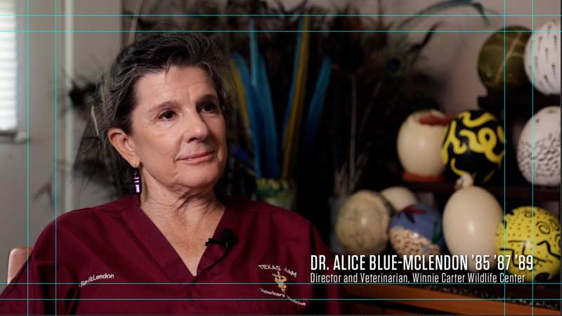 Video editing guides to display "Dr. Alice Blue-McLendon '85 '87 '89" on the right side.